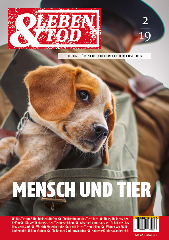 Ausgabe 2019-02