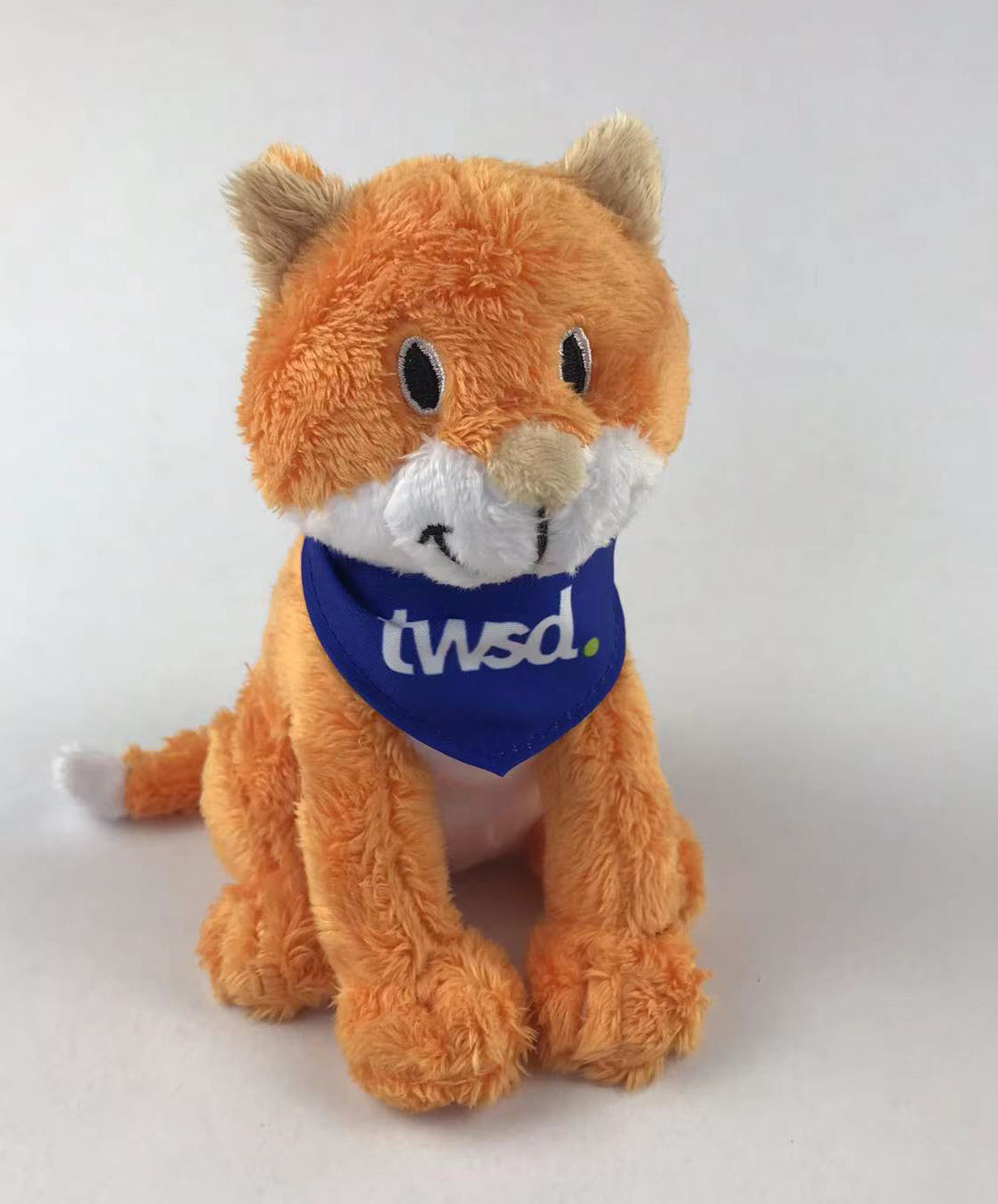 twsd Kätzchen